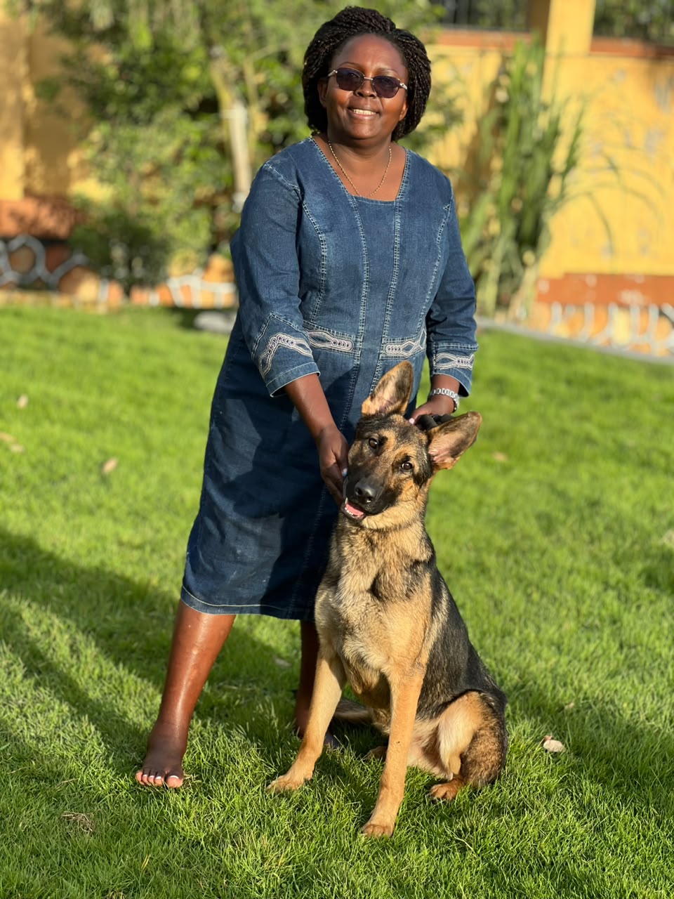 Owner with her German Shepherd on a sunny lawn